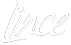 Lince Web - Soluções Inteligentes